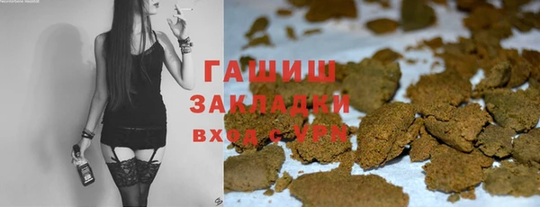 хмурый Новозыбков