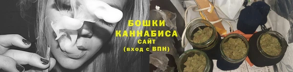 хмурый Новозыбков