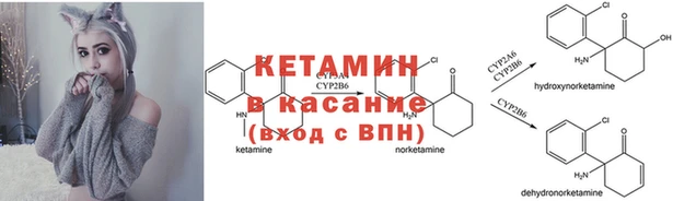 хмурый Новозыбков
