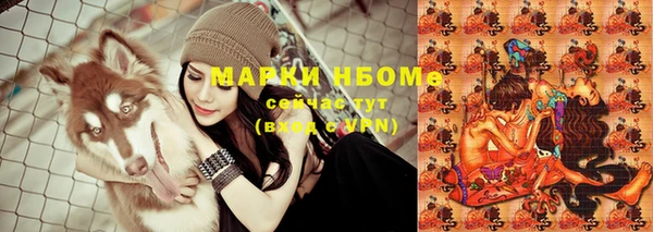 хмурый Новозыбков
