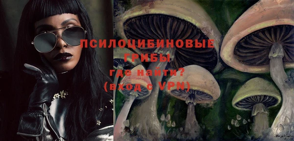 хмурый Новозыбков