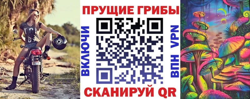 Псилоцибиновые грибы Cubensis  наркотики  Новосибирск 