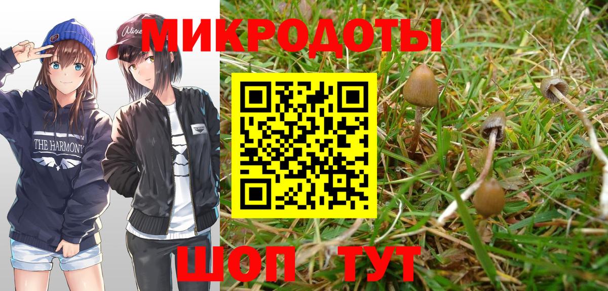 Галлюциногенные грибы ЛСД  Галлюциногенные грибы ЛСД  Новосибирск 