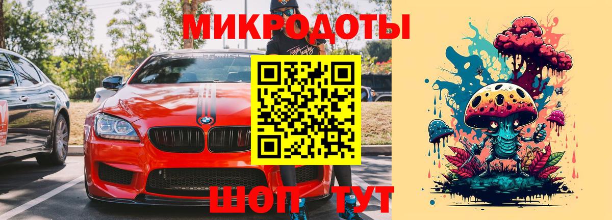 Галлюциногенные грибы Psilocybe Новосибирск