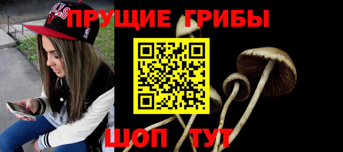 Псилоцибиновые грибы MAGIC MUSHROOMS Новосибирск